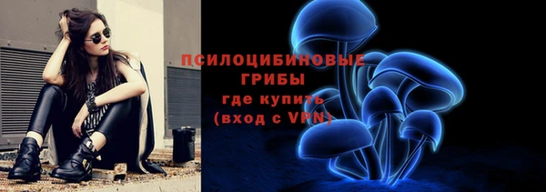 ECSTASY Осинники