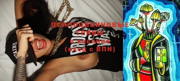 ECSTASY Осинники